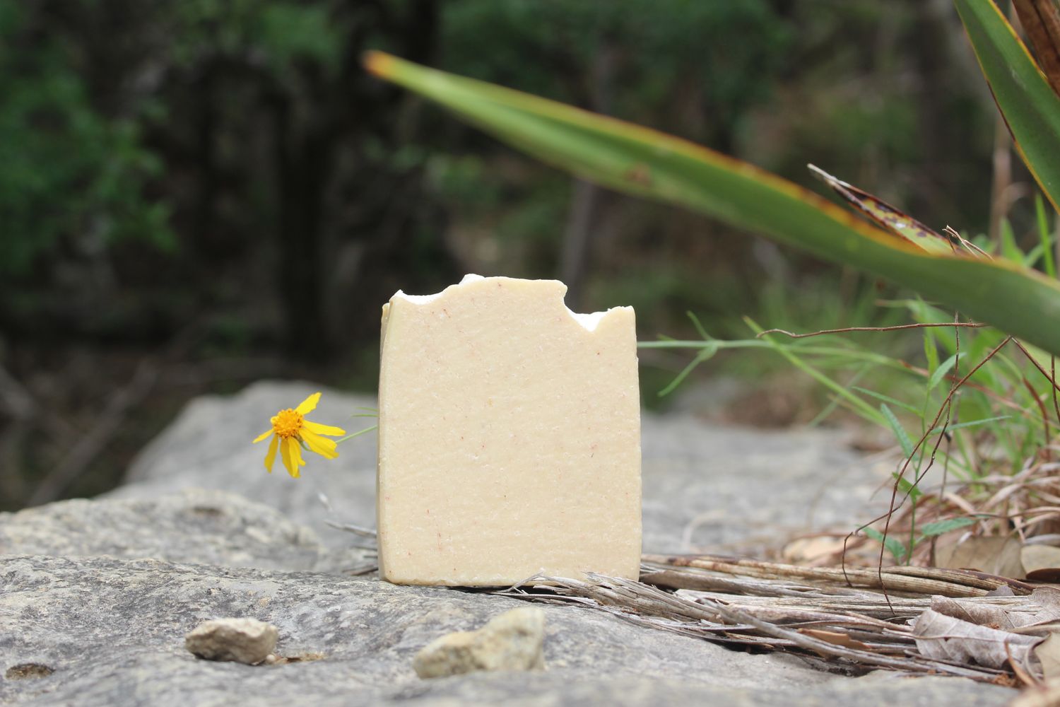 Handcrafted bar soap in a light cream color with a slightly uneven top edge, standing upright on a rock with surrounding greenery and a small yellow flower nearby.